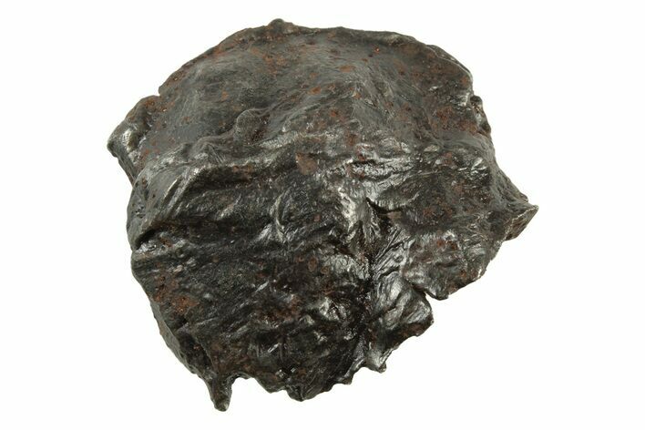 Sikhote-Alin Iron Meteorite Shrapnel ( grams) - Russia #243169